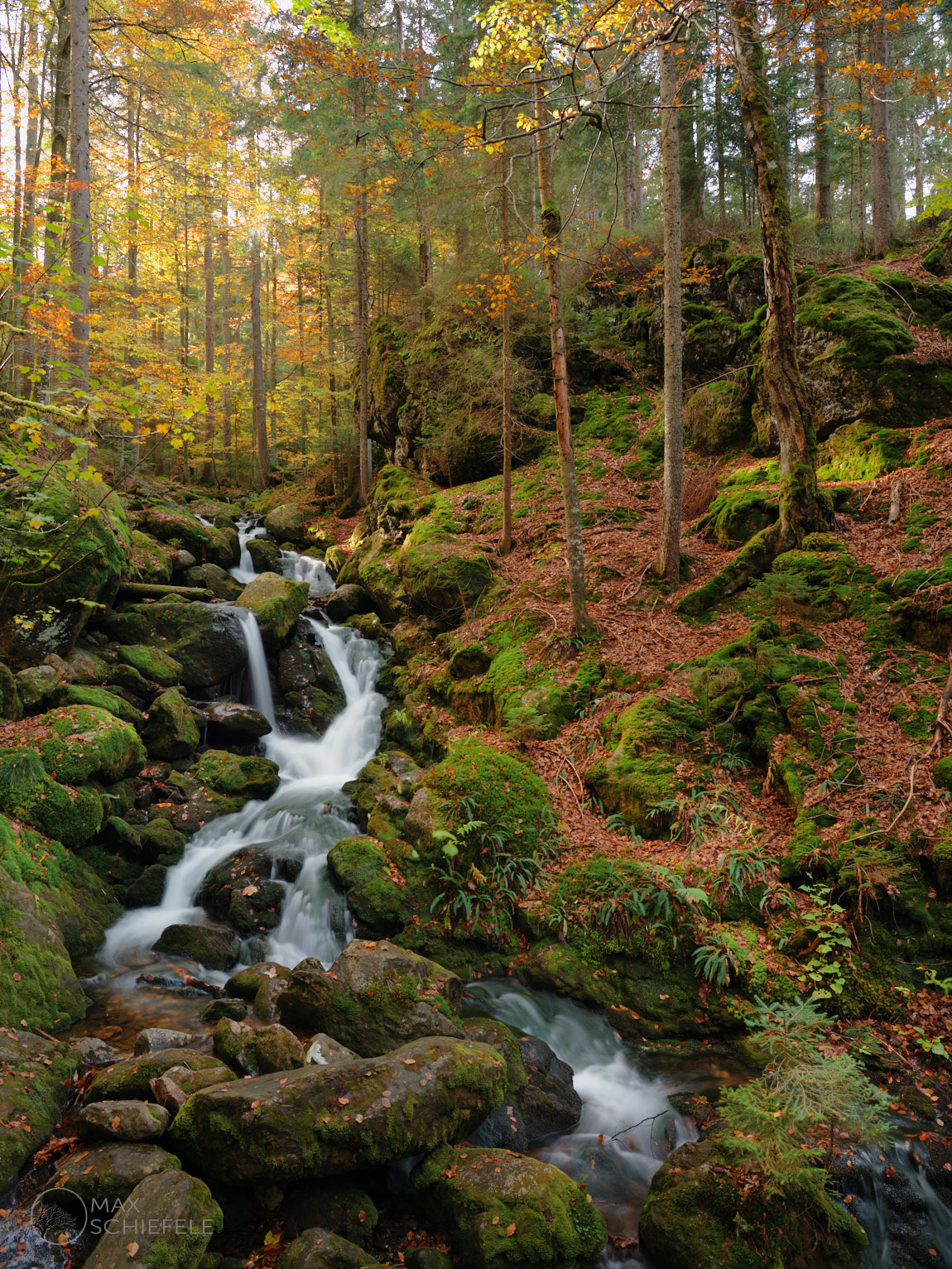 Sollerfall